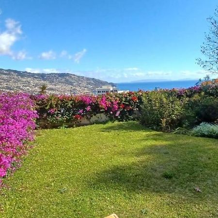 Belvedere Boutique - Adults Only Funchal  Luaran gambar