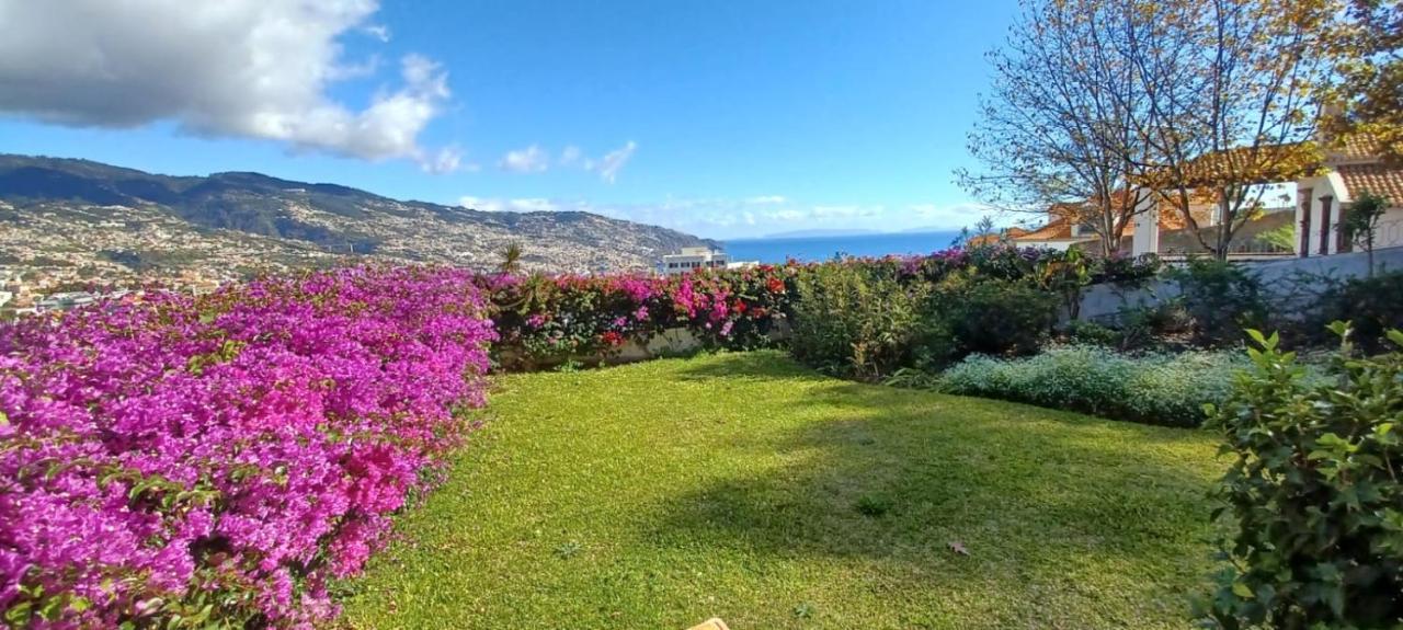 Belvedere Boutique - Adults Only Funchal  Luaran gambar