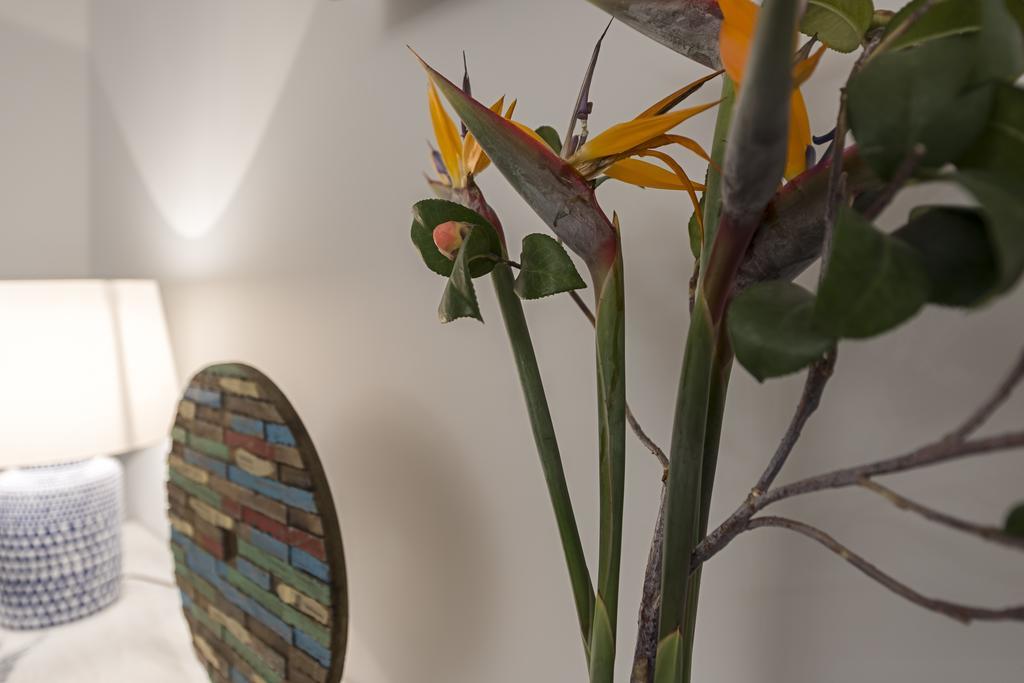 Belvedere Boutique - Adults Only Funchal  Luaran gambar